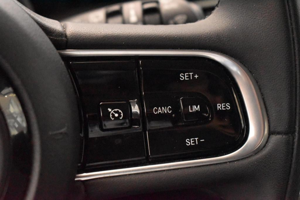 Fiat 500 icon 42 kwh | climate control | cruise control | trekhaak | achter