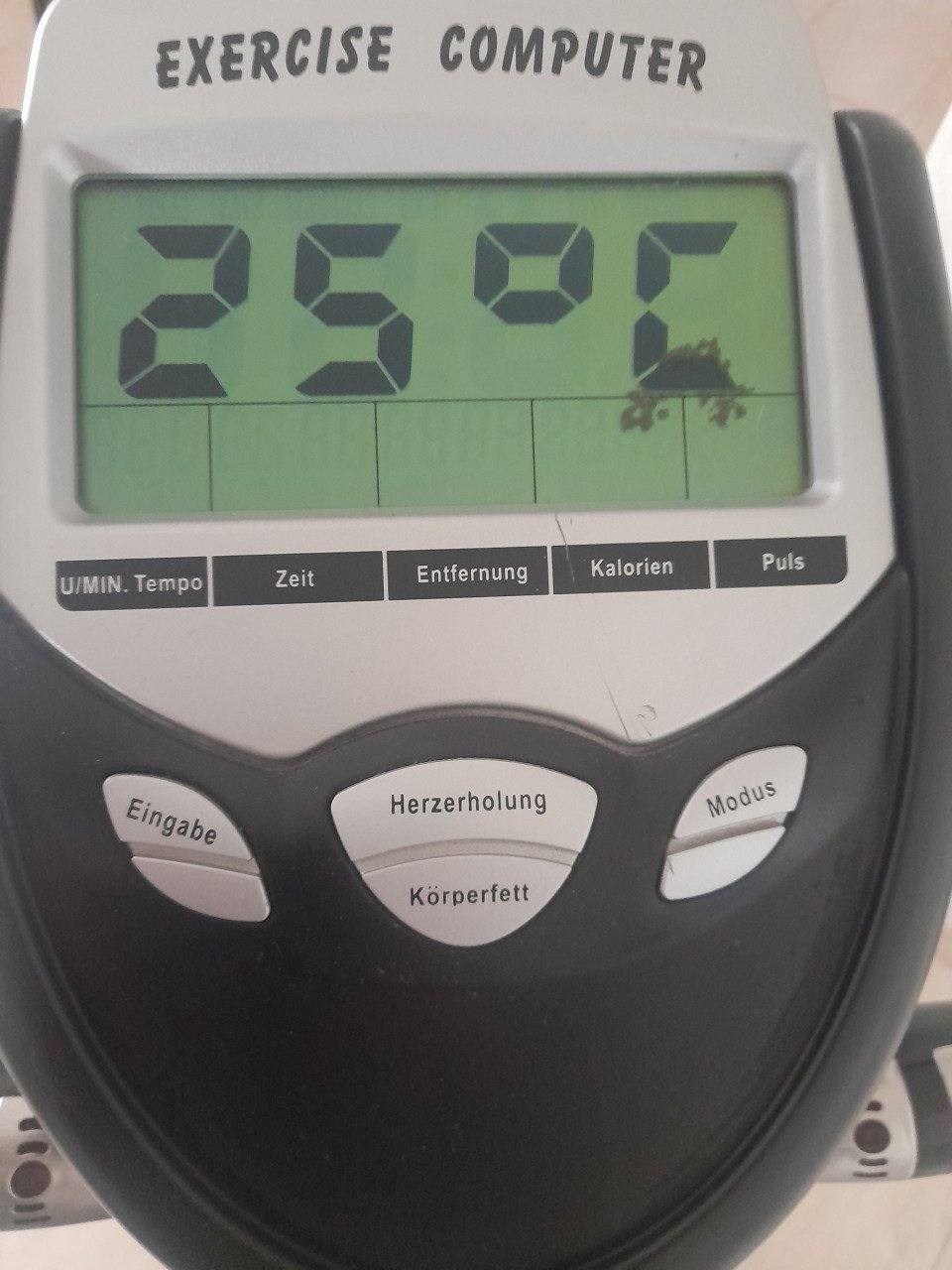 Hometrainer (werkt naar behoren ) in goede staat !
