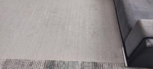 Tapijt 290x300 2 stuks