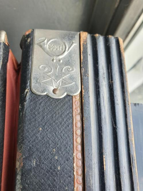 Zeldzaam antiek REGAL MELODEON houten Accordeon voor liefhebbers