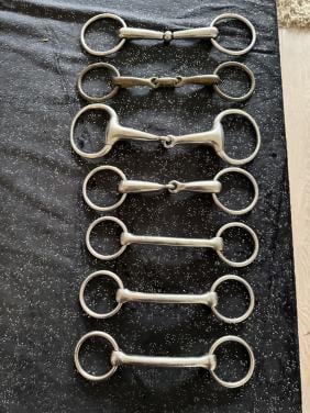 Diverse paarden bitten