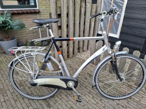 Batavus