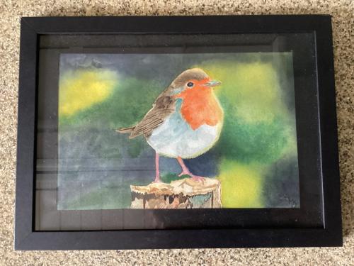 Aquarel van een roodborstje in een houten lijstje.