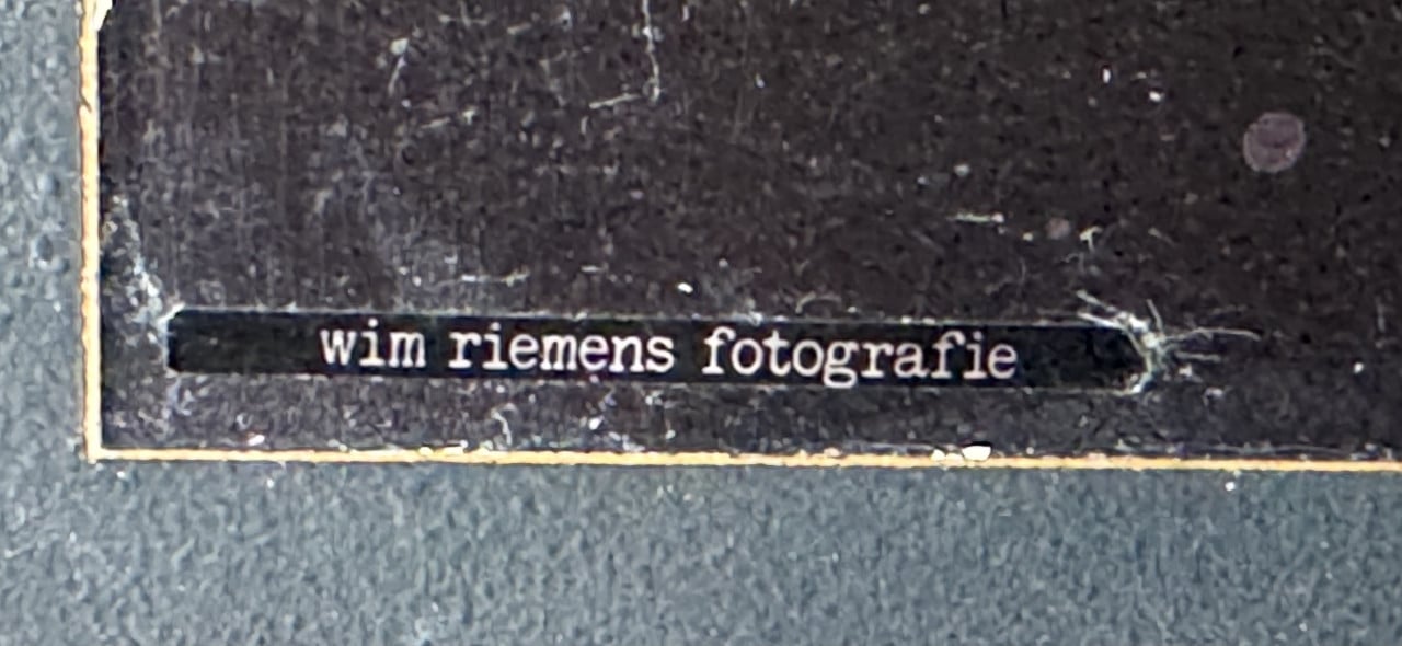 Mooi Foto van Riemens