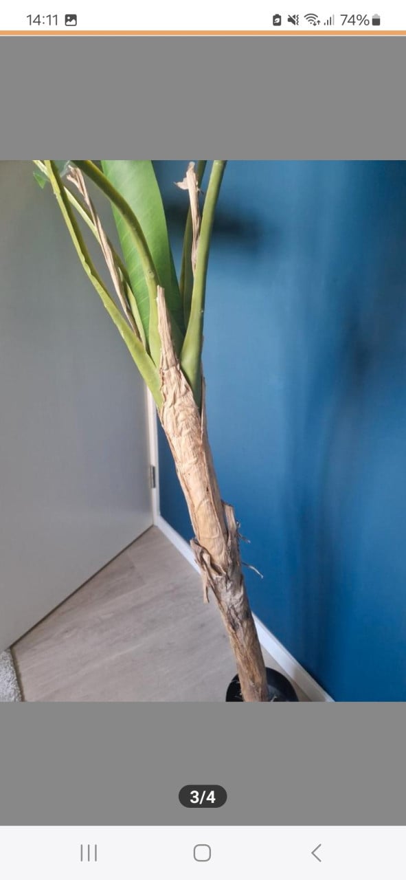Grote kunstplant