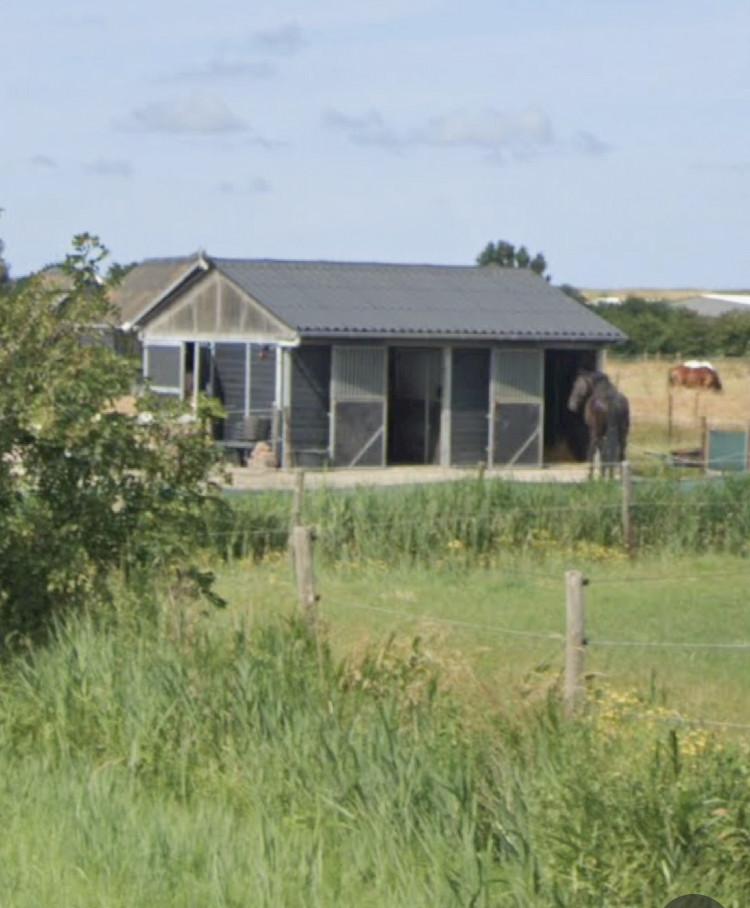 Stalling box met uitloop zandpaddock te huur voor paard of (shetland) pony