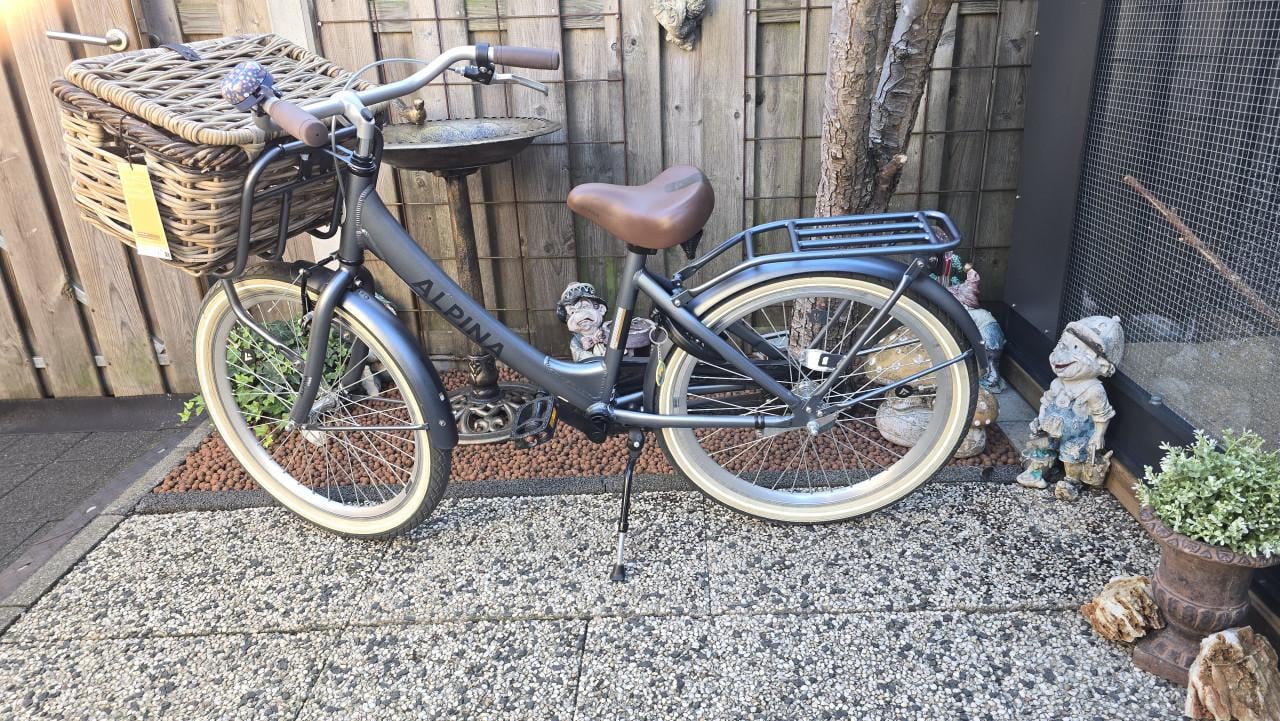 Te koop Alpina 24 inch