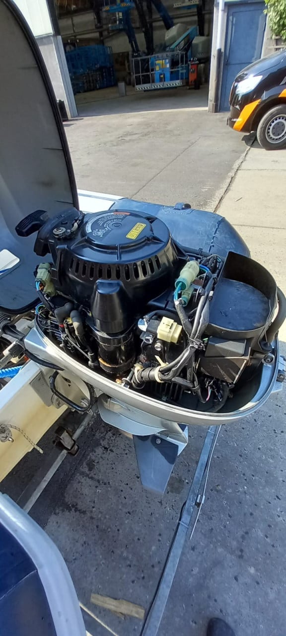 Rib 290 met honda 20pk en trailer