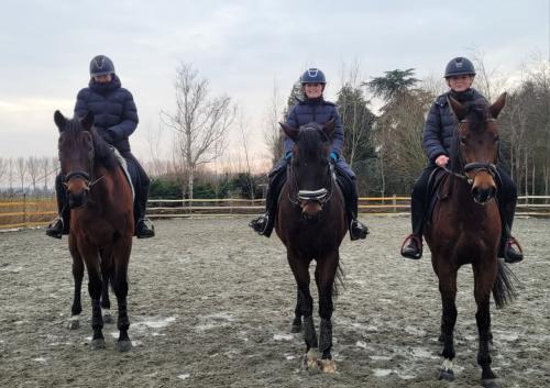 Paardenbox te huur Wolphaartsdijk