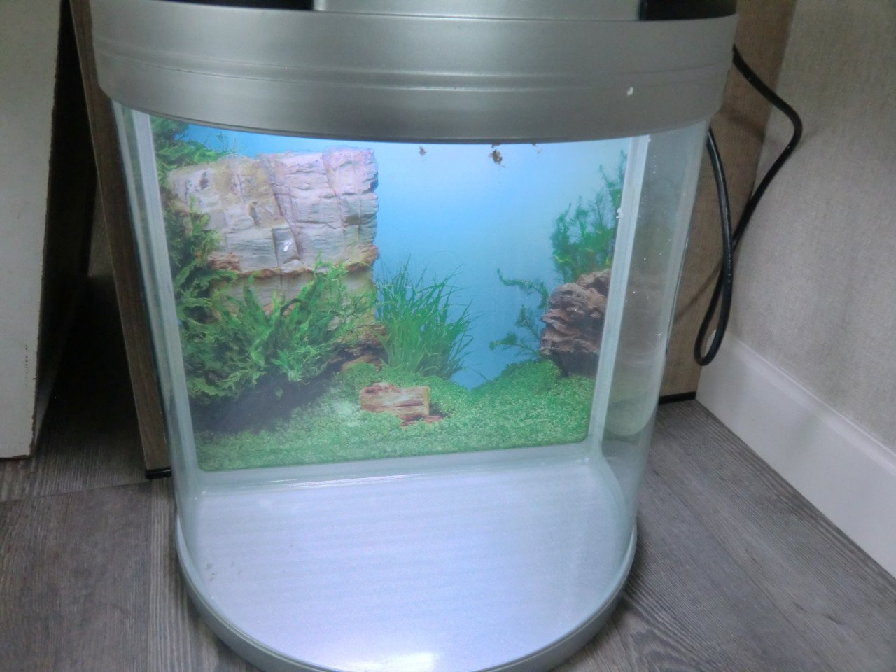 Aquarium aqua one half rond