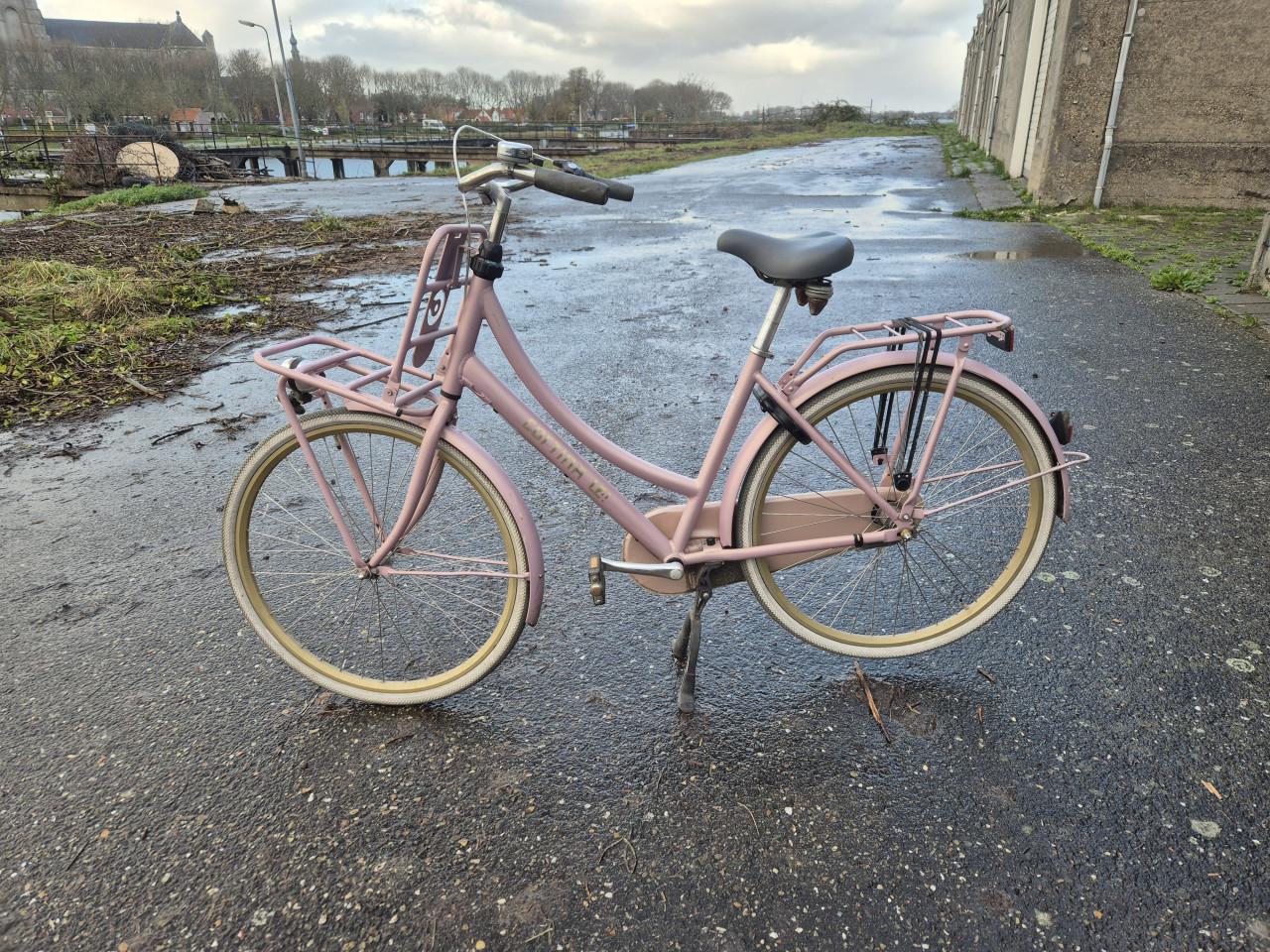Cortina cargobike dames fiets