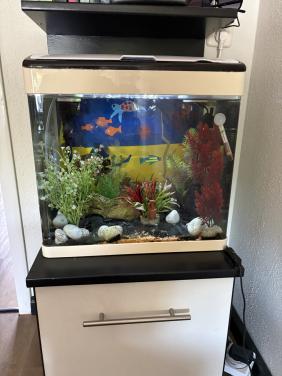 Aquarium