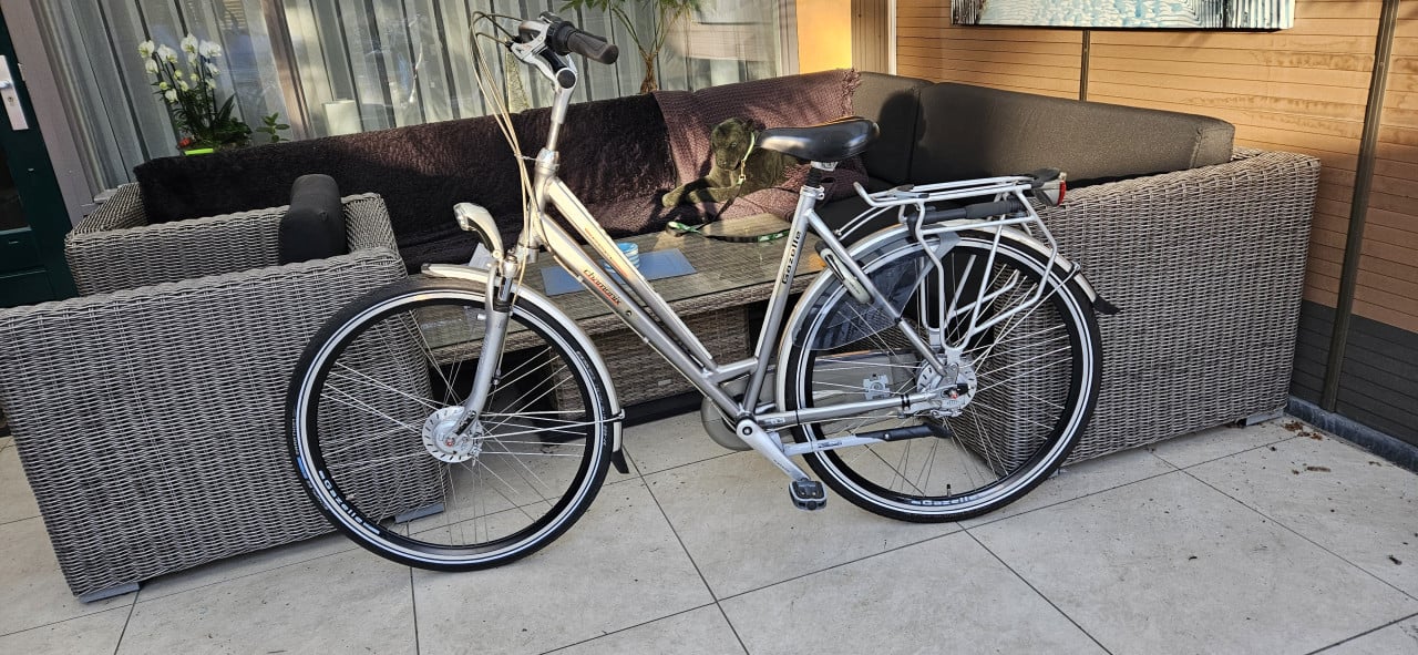 Gazelle Chamonix Premeur Damesfiets