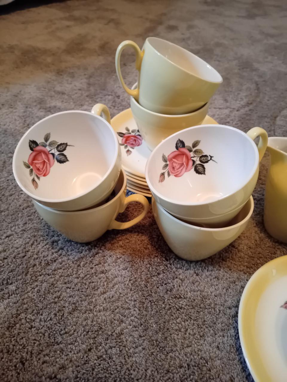 Vintage servies Petrus Regout