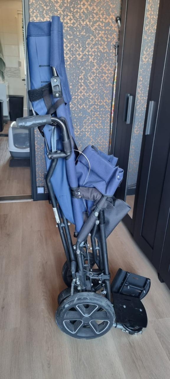 Patron Corzino 38 buggy