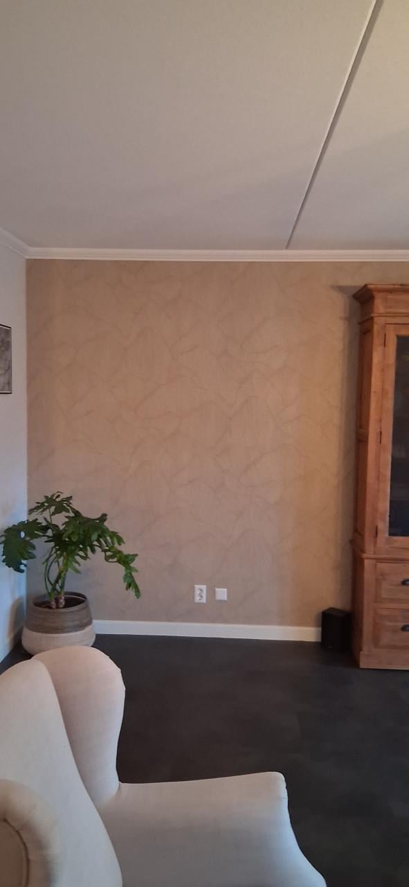 Behangen en sauzen van de muren en/of plafonds