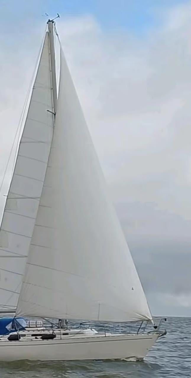 Diverse spinnakers, gennaker en genua