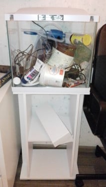 Te koop;aquarium wit