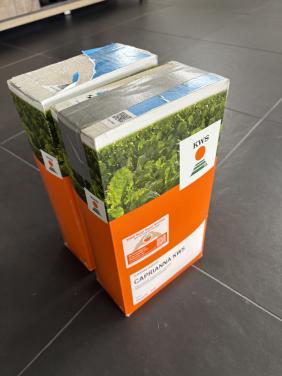 Bietenzaad Caprianna KWS Force