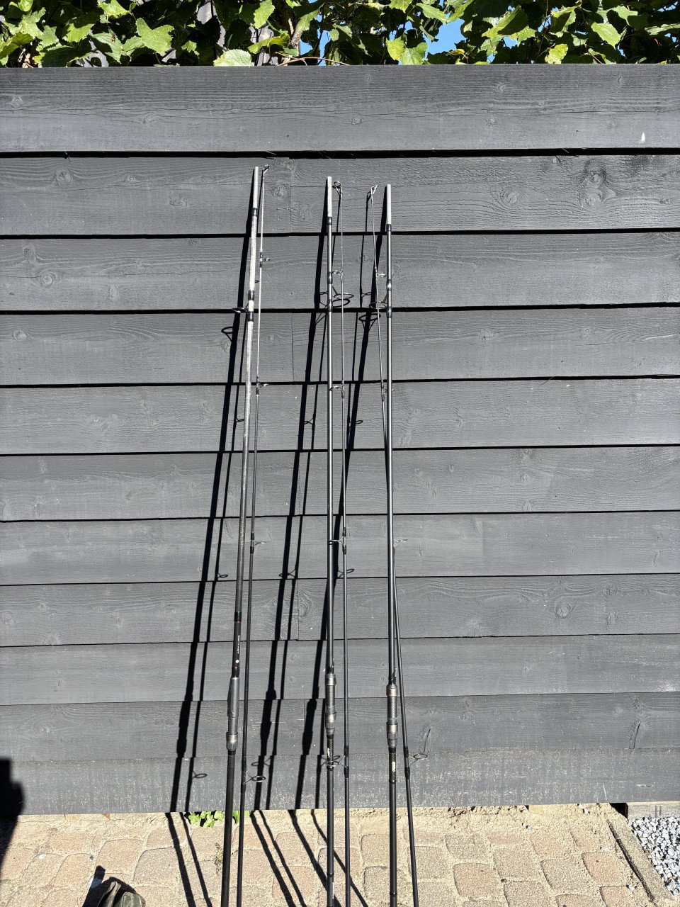3 x karperhengel met Shimano tribal foudraal