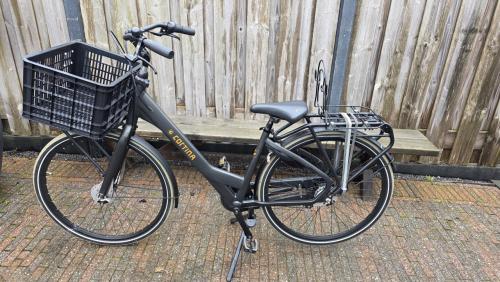 Cortina Common Family damesfiets