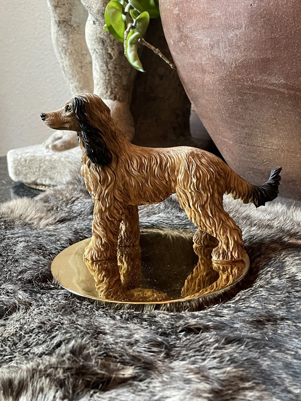 Afghaanse windhond en setter