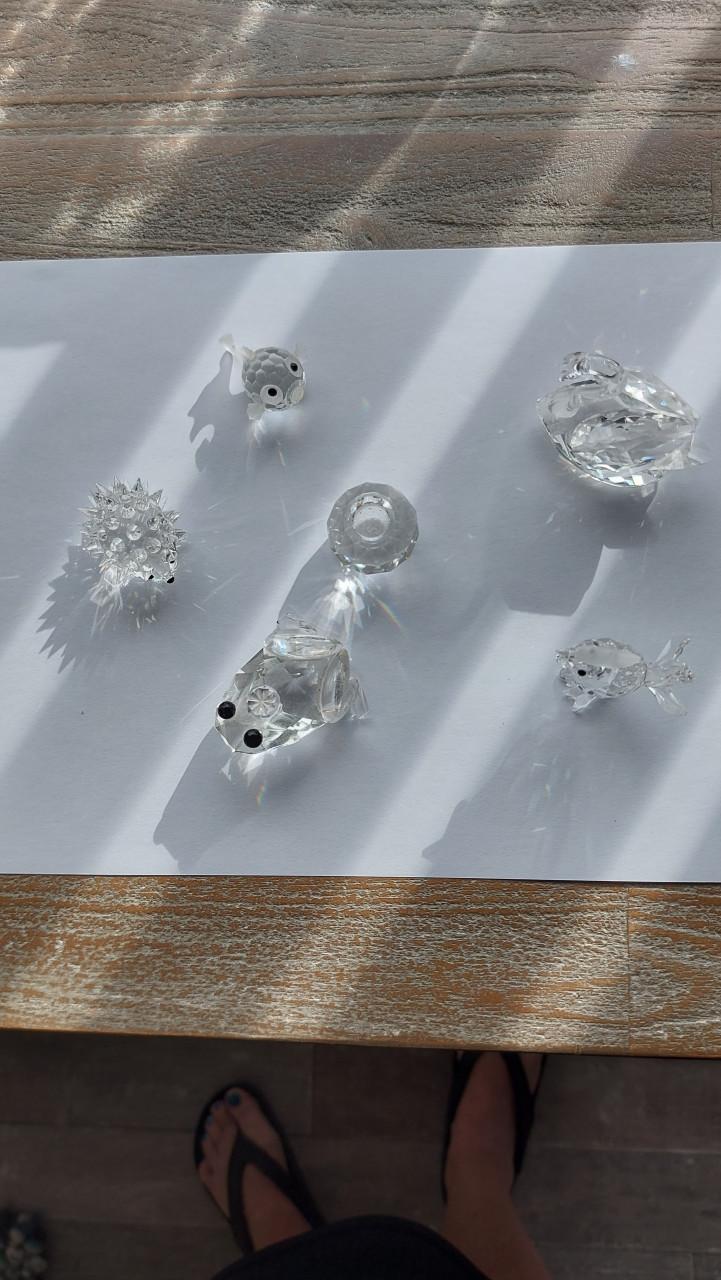 6 Swarovski beeldjes