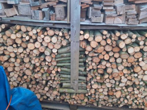 Diverse soorten haardhout.