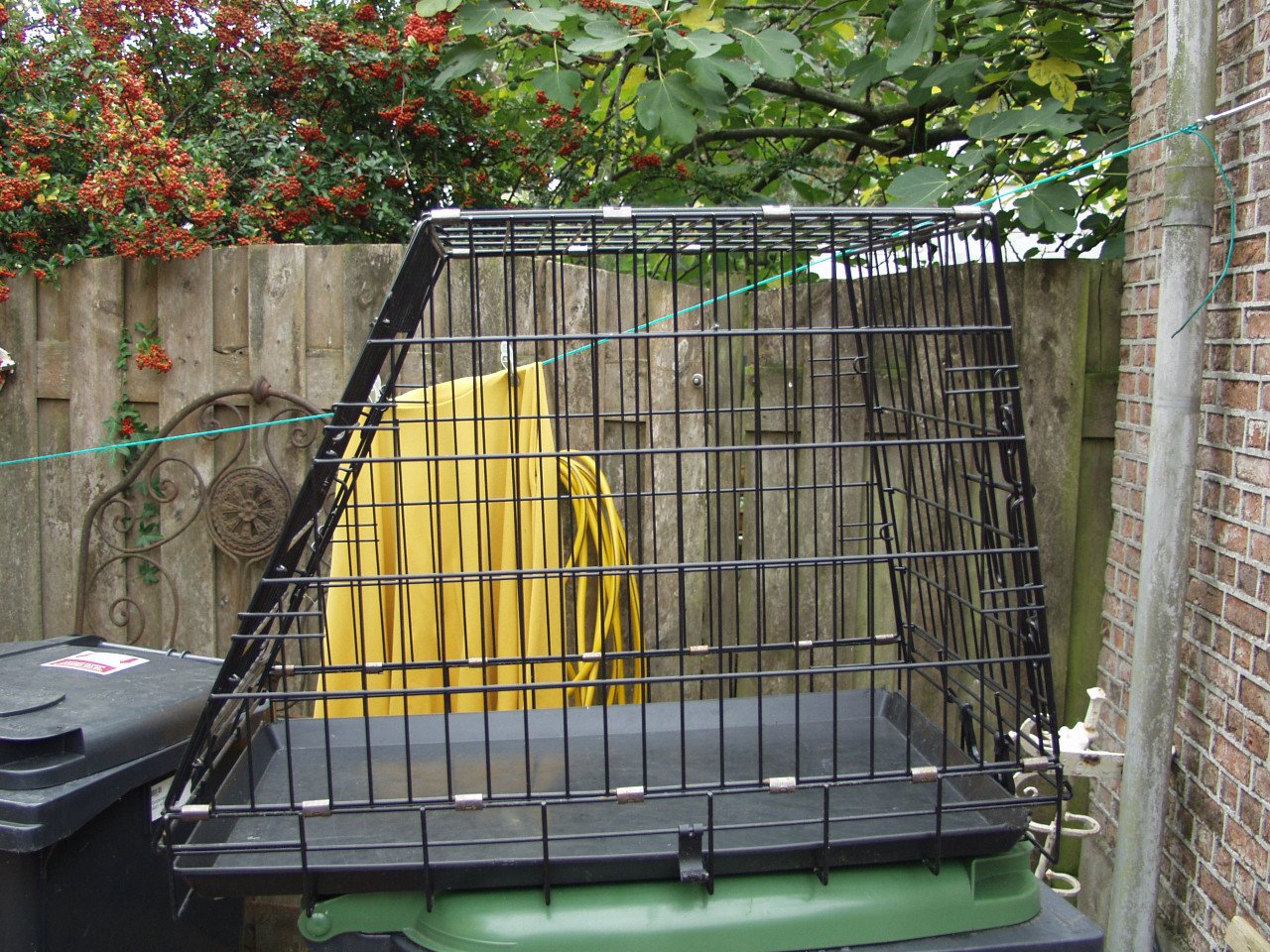 (Honden) bench