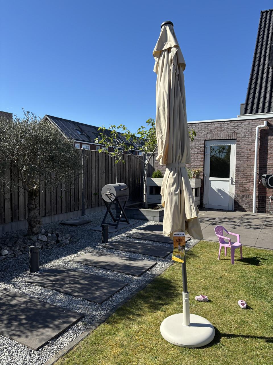 Parasol