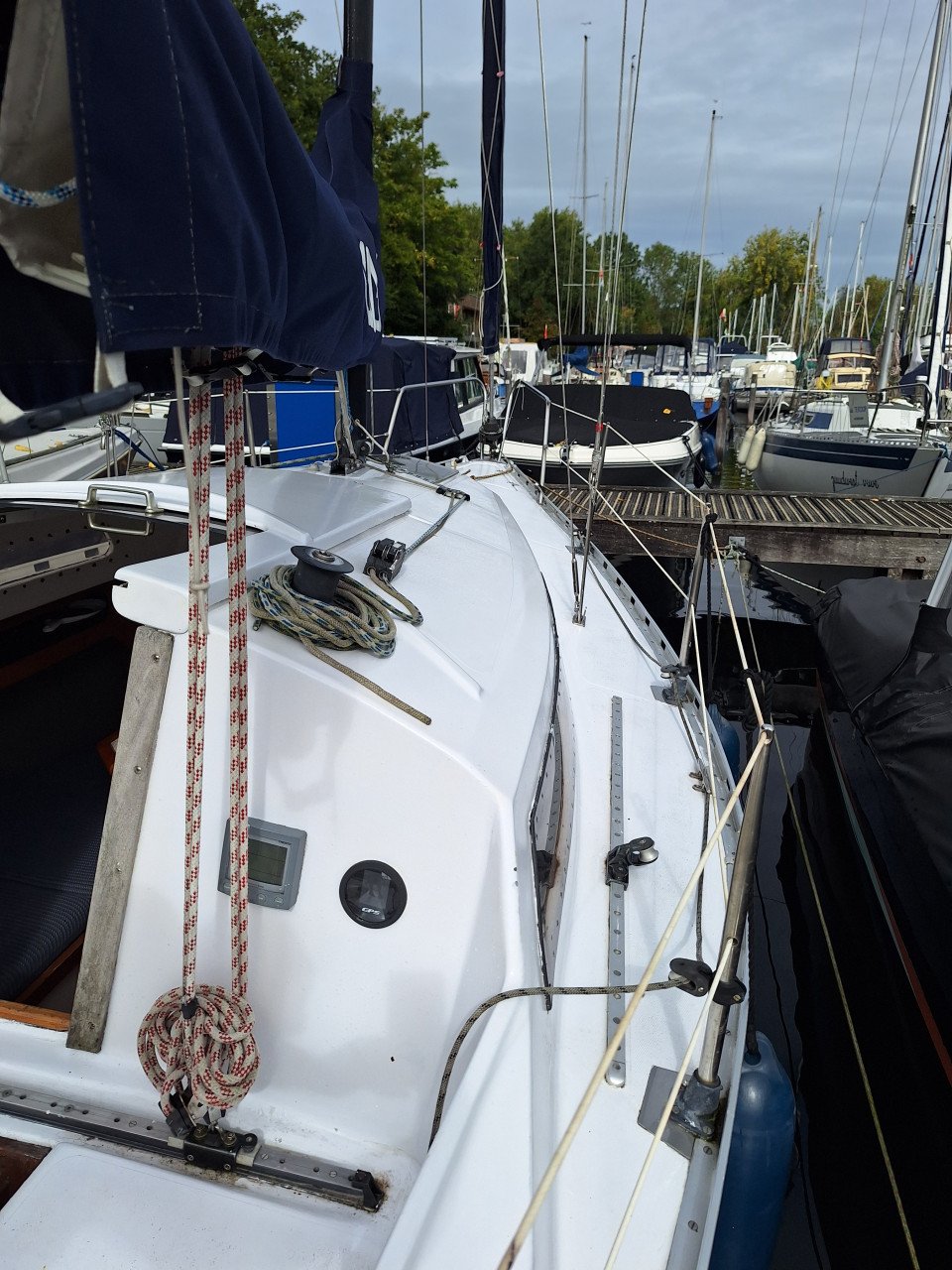 Zeilboot - Wing 720