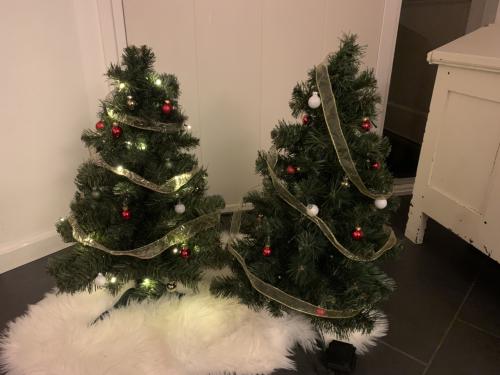 Kerstboom 60 cm met timer