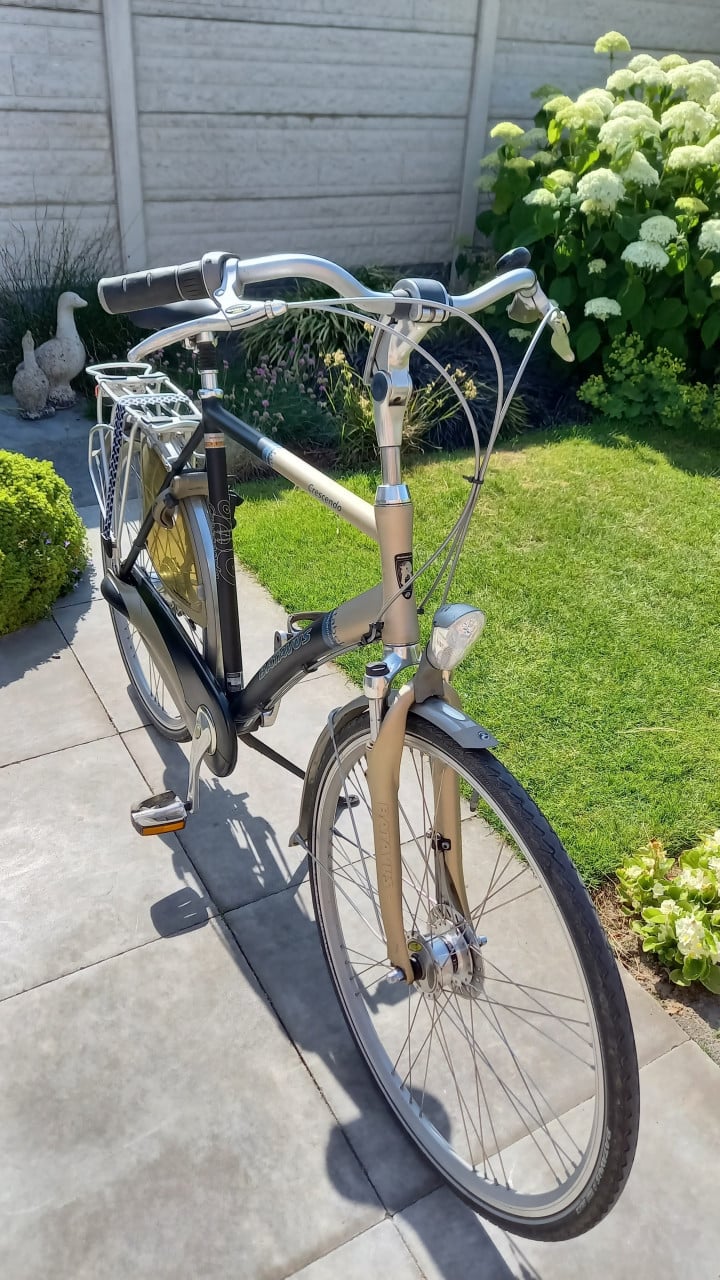 Batavus crescendo