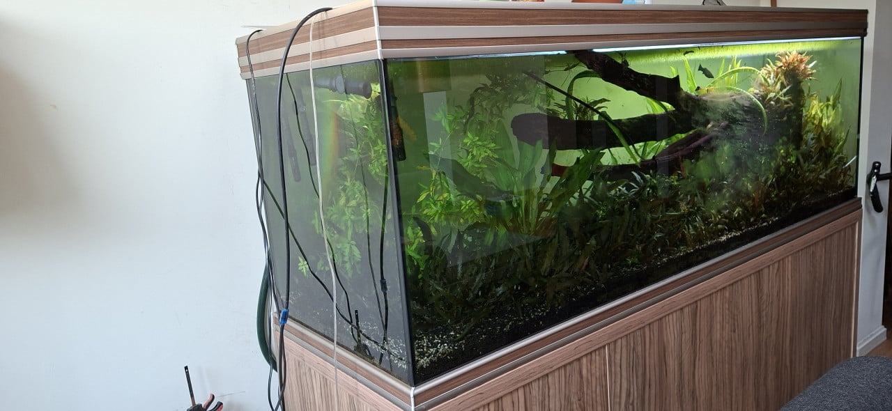Aquarium