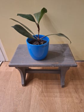 Houten decoratie