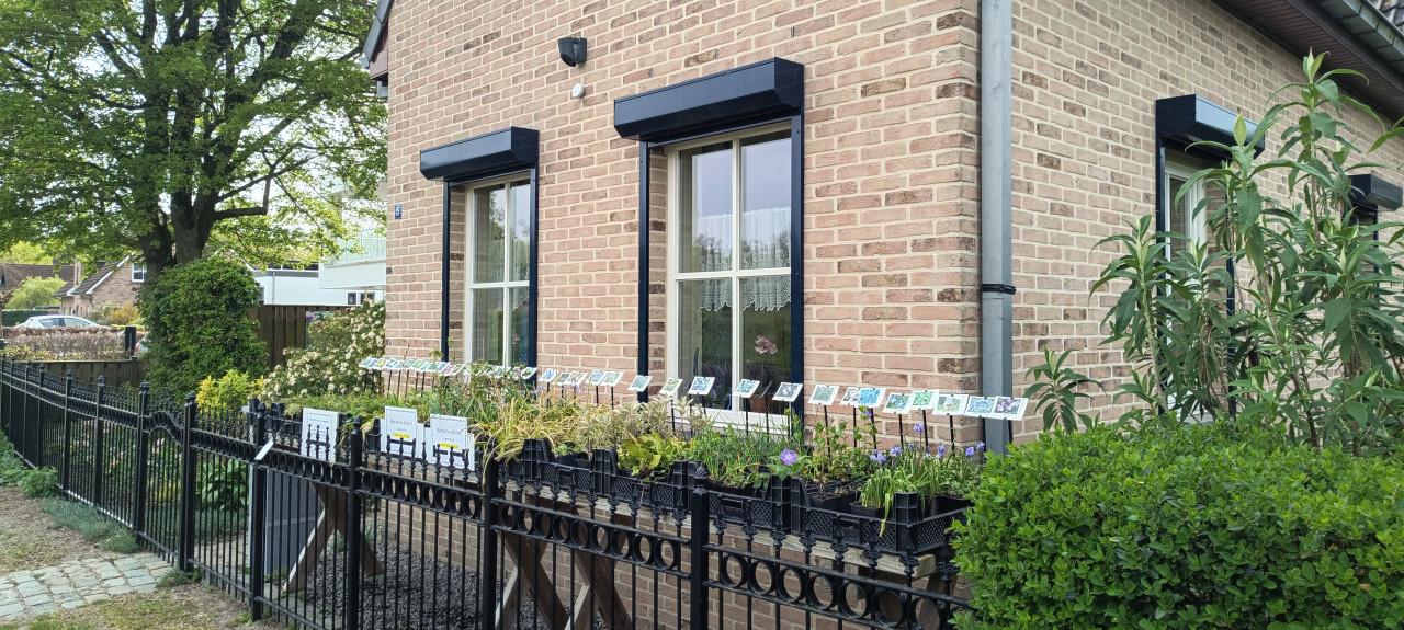 Een border inplanten met mooie en betaalbare bijen,- en vlinderplanten ?