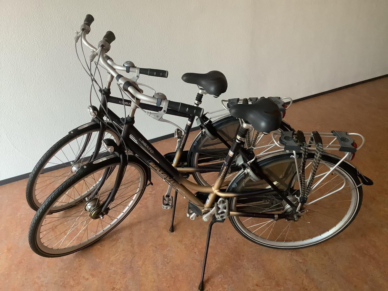 Set Batavus Legato fietsen