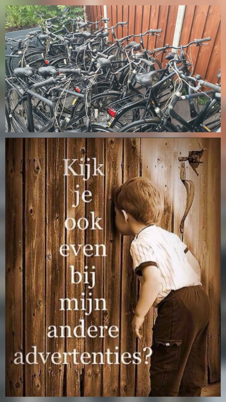 Damesfiets Gazelle | Inruil oude fiets bespreekbaar.