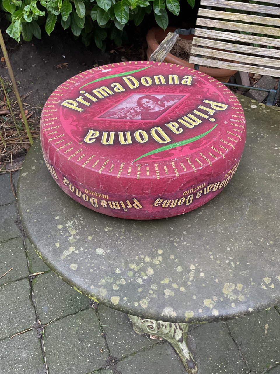 Prima Donna Kaasdummy