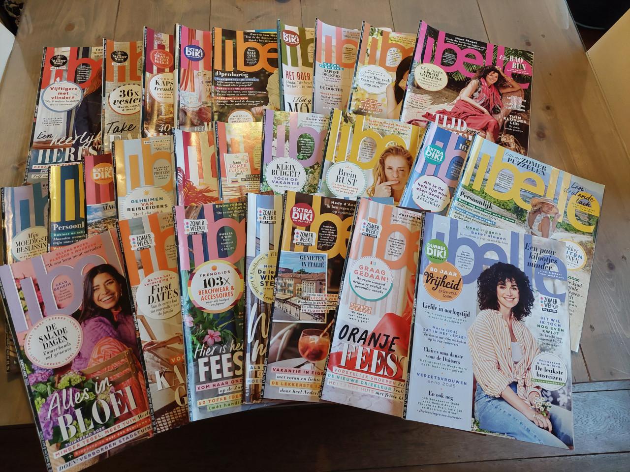 KOOPJE Grote stapel libelles