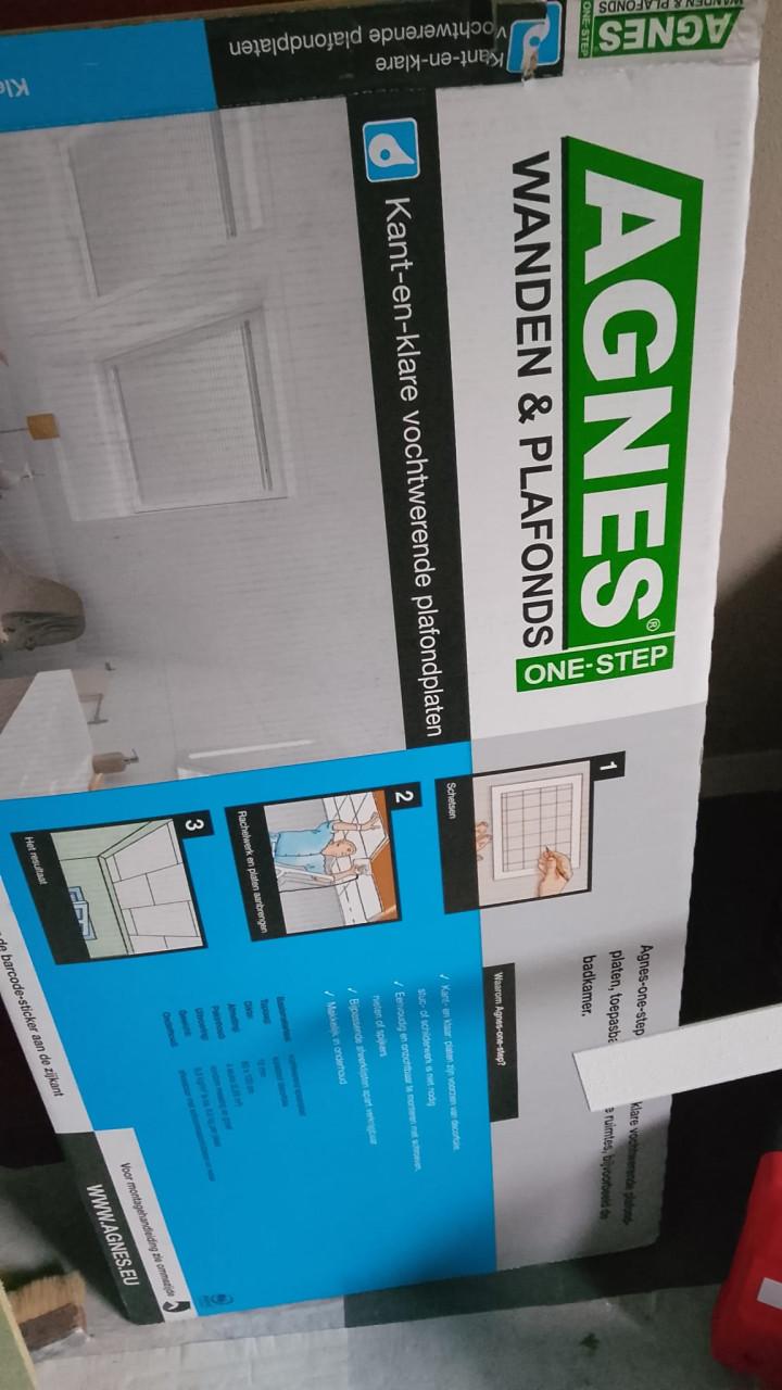 Agnes plafondplaten 2 stuks