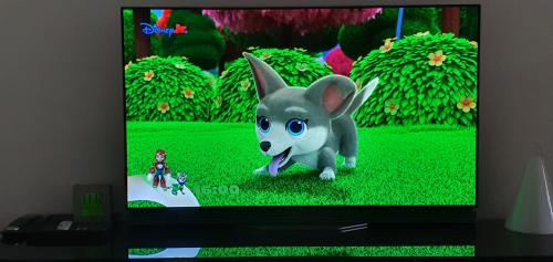 LG OLED 55 Inch smart TV