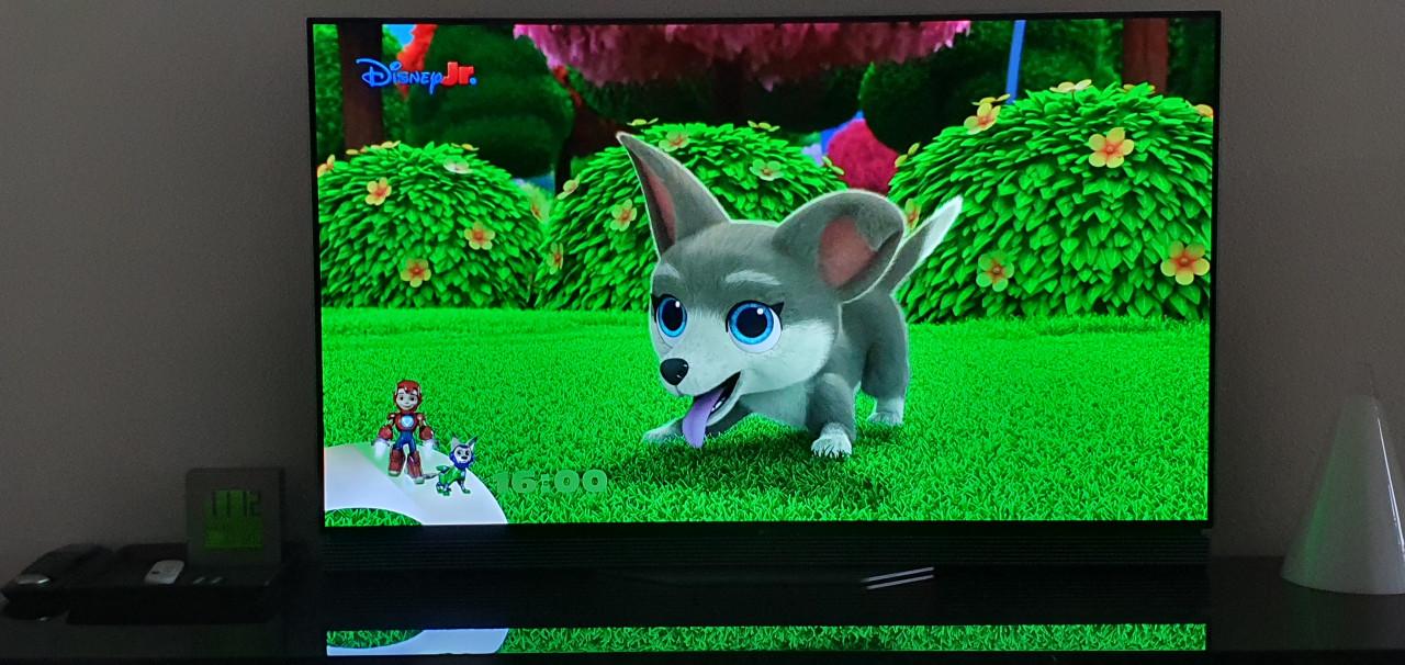 LG OLED 55 Inch smart TV