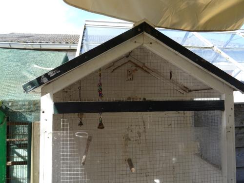 Te koop nog goed bruikbare vogelkooi ,voliere zie foto s