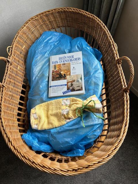 Mooie grote rieten / rotan baby wieg,