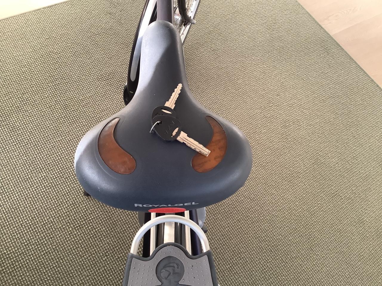 Keurige Batavus Legato