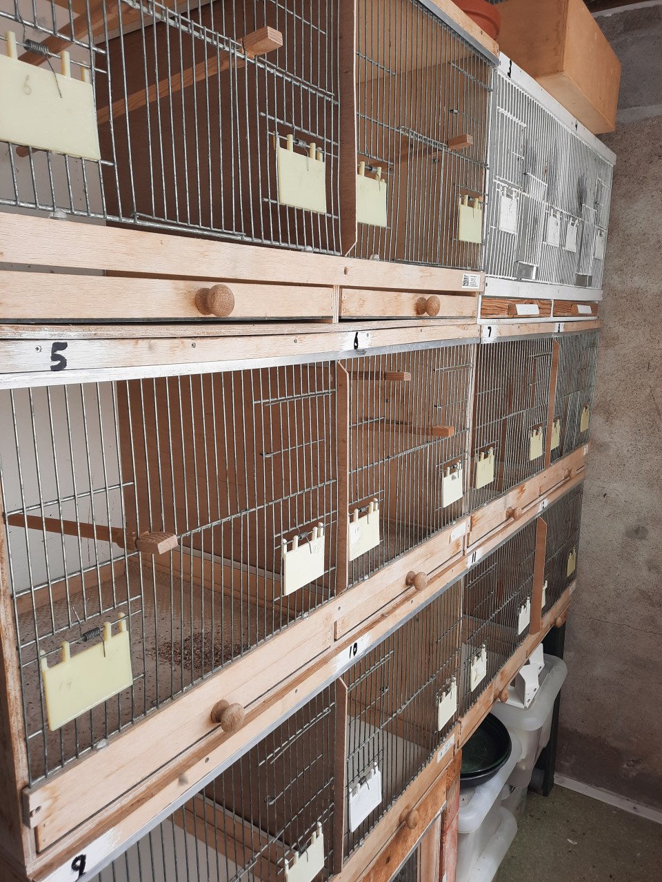 Volledige vogel/kanarie kweekinventaris