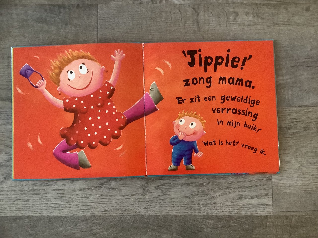 Boek: Wat zit er in je buik mama?