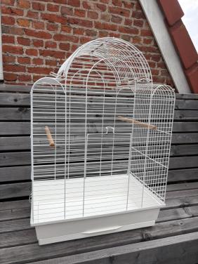 Vogelkooi