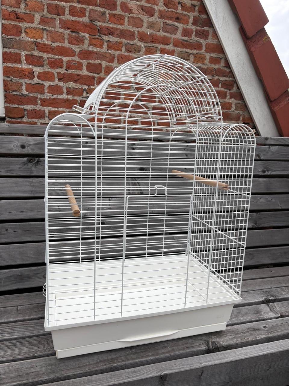 Vogelkooi